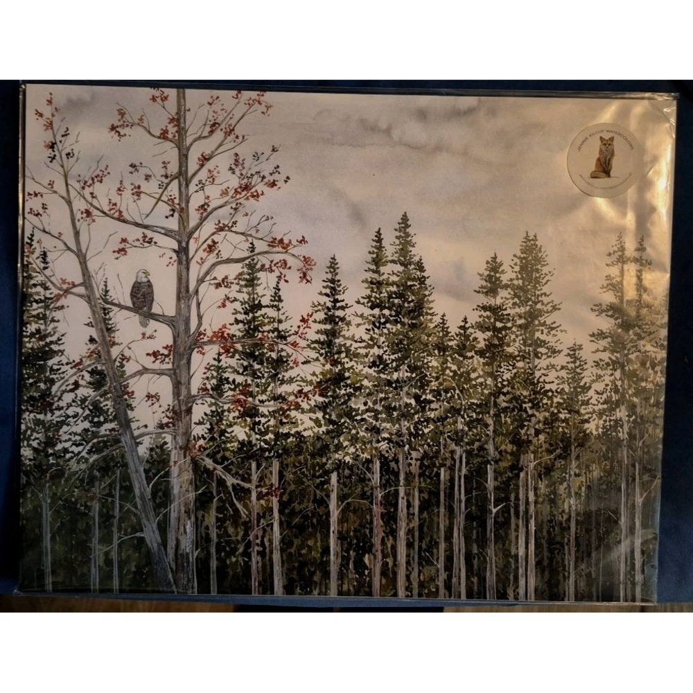 Eagle In The Trees Watercolor New Print 11x14 By Jennie Kilcup